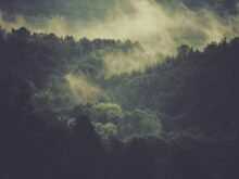 Study Identifies Atmospheric & Economic Drivers of Global Air Pollution