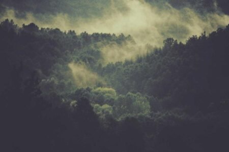 Study Identifies Atmospheric & Economic Drivers of Global Air Pollution
