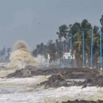 Cyclone Arnab storm damage with uprooted trees and fallen power lines in coastal Andhra Pradesh