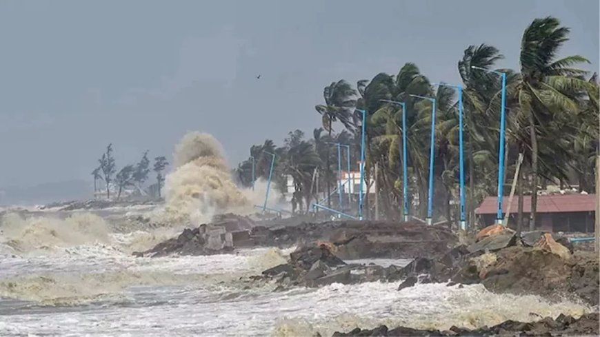 Cyclone Arnab storm damage with uprooted trees and fallen power lines in coastal Andhra Pradesh
