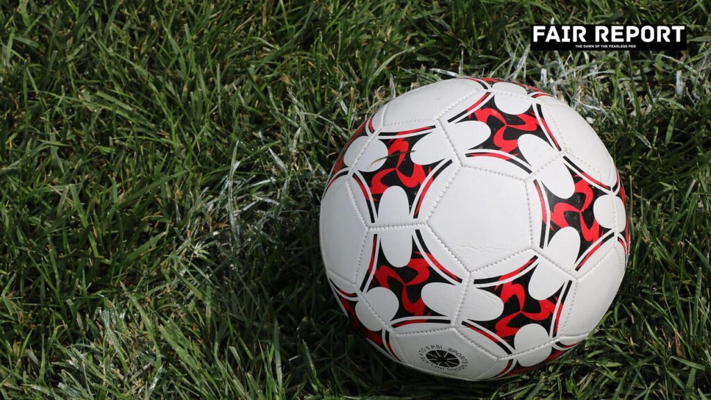 Cricket ball resting on the pitch turf during the India vs Zimbabwe T20I series match in Raipur