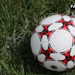 Cricket ball resting on the pitch turf during the India vs Zimbabwe T20I series match in Raipur